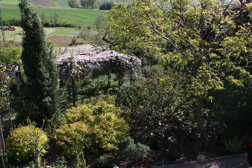 B&B La Casetta Villaromagnano Exterior foto